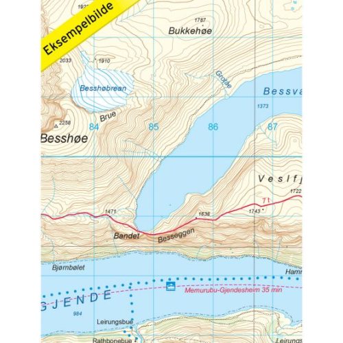 map-jotunheimen-east-dnt