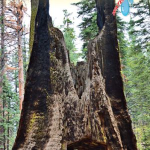 yosemite-och-centrala-kalifornien-usa-itm-9781771299220