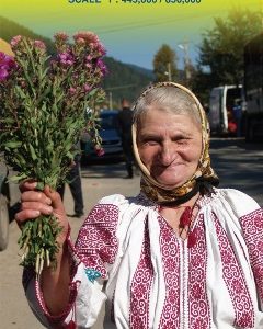 karta-rumanien-och-moldavien-itm-9781553414001