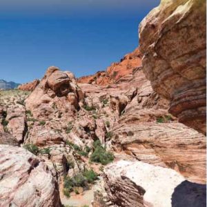 karta-nevada-och-kalifornien-norra-1875-000-itm-9781771295734