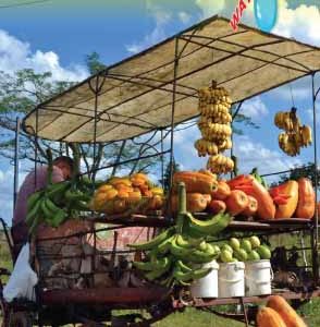 karta-havanna-centrala-kuba-itm-9781771293358