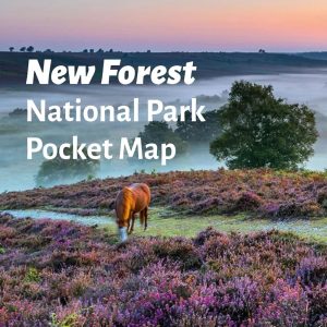 new-forest-national-park-pocket-map-storbritannien-collins